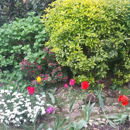 Il Patio Bed & Breakfast 3*